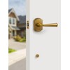 SORWDUERM 1 Pack Antique Brass Front Door Handle Reversible Lever