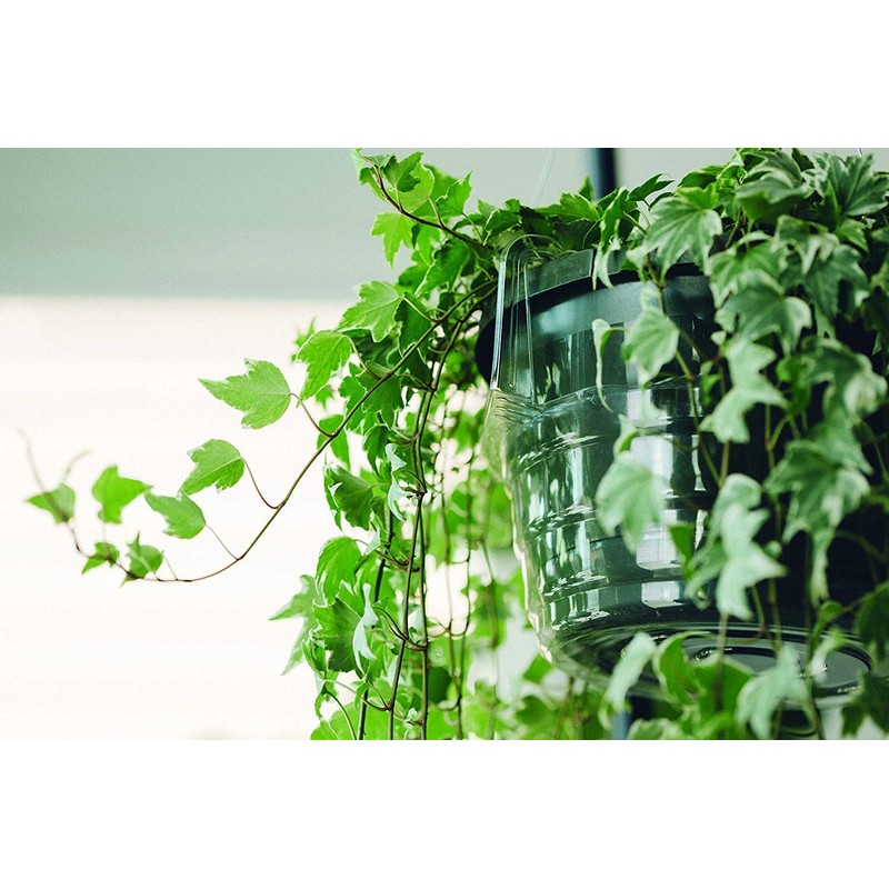 Curtis Wagner Plastics Hanging Basket Drip Pans (5-Pack) | Clear,