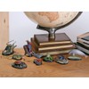 Carolata Yanbaru Biological Box (3D Picture Book), Birds, Insects, Reptiles,