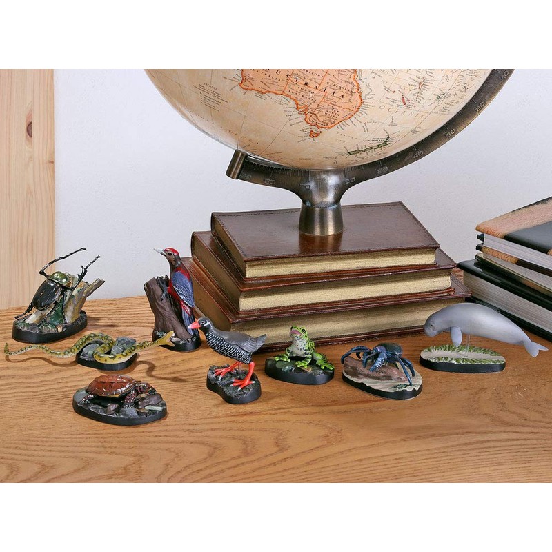 Carolata Yanbaru Biological Box (3D Picture Book), Birds, Insects, Reptiles,