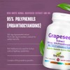 NEW ROOTS HERBAL Grapeseed Extract 500mg, 95% Polyphenols (Proanthocyanidins) (60