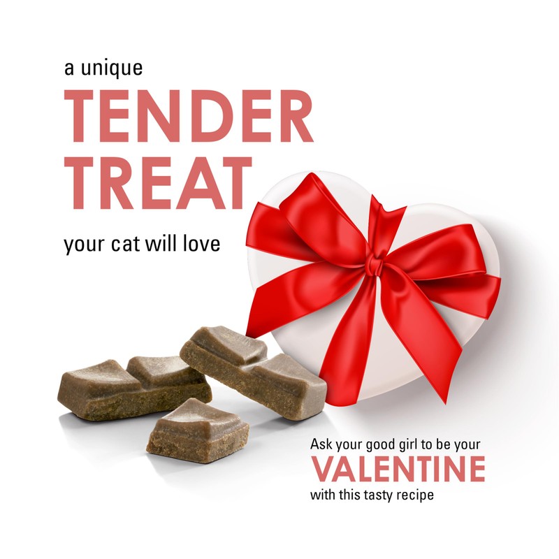 Purina Fancy Feast Limited Ingredient Cat Treats, Savory Cravings Salmon