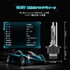GUGY D4R HID Headlight Bulbs, Pack of 2, 6,000 K,