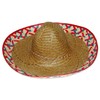 RINCO Embroidered Sombrero