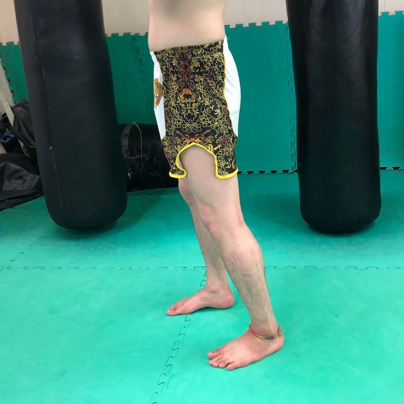 Brightrust Muay Thai Pants, Kicking, Boxing, K-1, Trunks, Games, Practice,