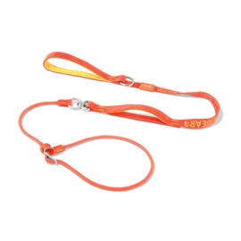 HowGo Slip Lead Dog Leash with Padded Handles | Lightweight Dog Training Leash with 360°Swivel Anti-Tangle | Heavy-Duty Lead and Collar for Large Medium and Small, No-Pull Walking (Orange, 5.5FT)