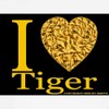CafePress I (Heart) Tiger Dog T Shirt Dog T-Shirt, Pet
