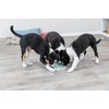 TRIXIE Junior Licking Mat 8 in, Pet Slow Feeder, For
