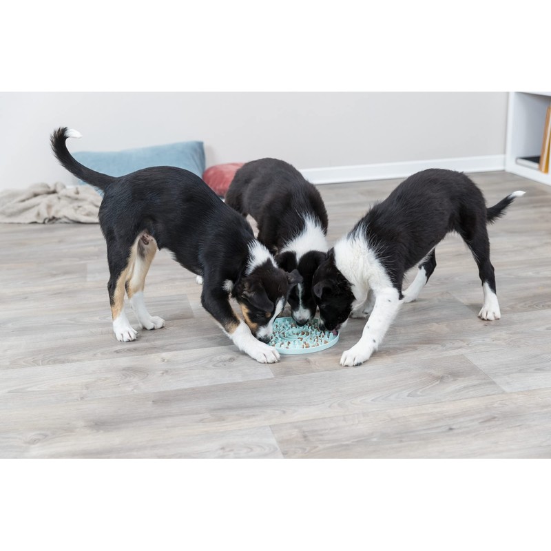 TRIXIE Junior Licking Mat 8 in, Pet Slow Feeder, For