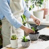 lepni.me Organic Eco-Friendly Cotton Chefs Apron | Cooking Baking Grilling