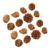 Abaodam 100 Pcs Artificial Pine Cone Decorations Mini Pinecone Christmas