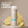 Paul Mitchell Shampoo Two, Champú clarificante, Limpia profundamente + Elimina