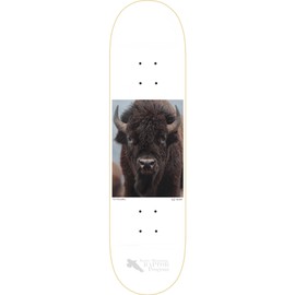 Zero Professional Complete Skateboard 8.25" x 31.9" Sandoval Buffalo with Independent Trucks, Triclops Wheels, ABEC 5 Bearings, Hardware, and Griptape - Ready to Assemble