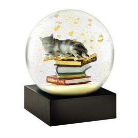 CoolSnowGlobes Cat on Books Cool Snow Globe