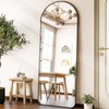 HARRITPURE Arched Full Length Mirror - 64" x 21" Large