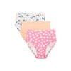 Fruit of the Loom girls Toddler 3-Pack Training Pants, 3