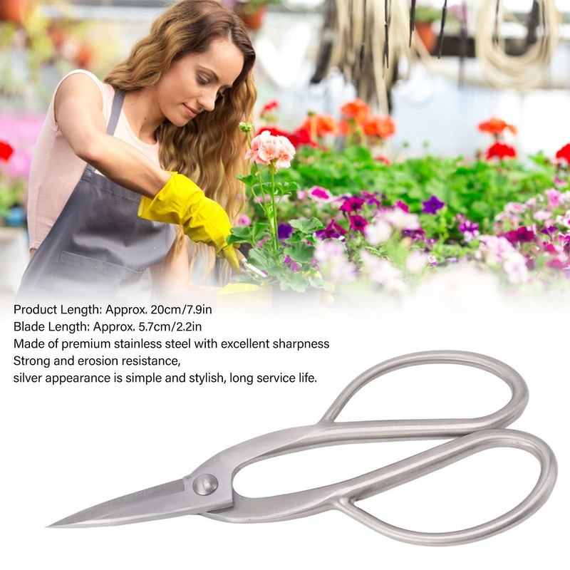 Bonsai Scissors 20CM Stainless Steel Indoor Garden Shears Floral Stem