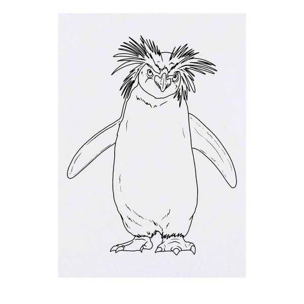 'Rockhopper Penguin' Temporary Tattoo - Water Resistant, Skin-Safe, Non-Toxic Transfer