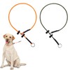 Dog Slip Collar Training Dog Collar- 18'' Thin No Pull