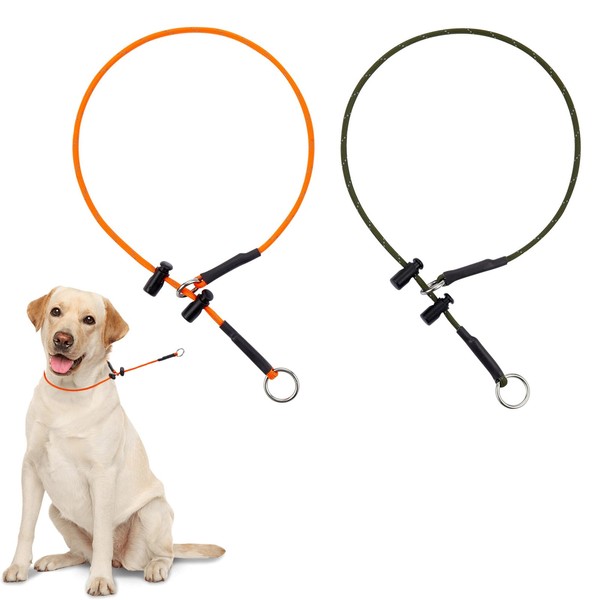Dog Slip Collar Training Dog Collar- 18'' Thin No Pull