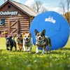 18" Herding Ball for Dogs - Durable Dual-Layer Design with