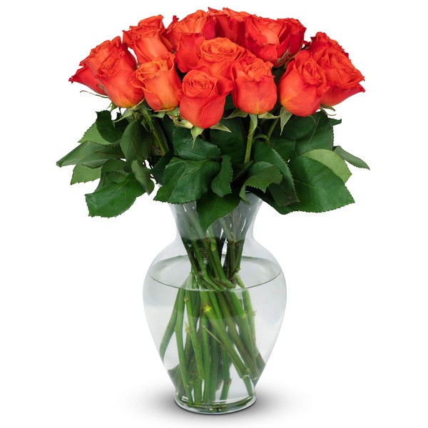 BENCHMARK BOUQUETS - 24 Stem Orange Roses (Glass Vase Included),