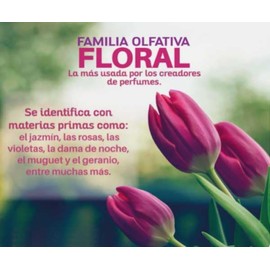 Flushing Destellos de Amor Eau de Perfum, Floral Fragrance with Jasmine, Rose and Violet Notes, Purple