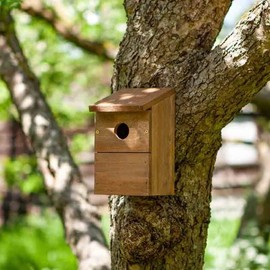 Garden Mile Bird House | Bird Box | Bird Houses for Garden 100% FSC Wood | Environmentally Friendly I 21 x 13 x 11.5 cm