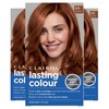Clairol Lasting Colour Permanent Hair Dye | Perfect Grey Coverage