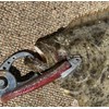 OSP Windy Windy Wind Fishing Lures for Flat Fish Flounder