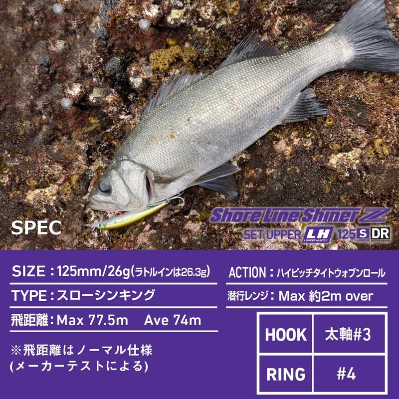 DAIWA Shoreline Shiner Z Set Upper Lanker Hunter 125S-DR Blupin
