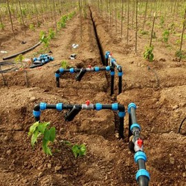 TOPINCN Water Pipe Elbow Adapter, 4 Pieces 32 mm to 32 mm Water Pipe Elbow Adapter Plug PE Plastic Quick Coupling Mounting Accessories for Drinking Water Filter