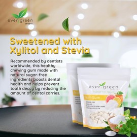 Evergreen Sweets Chewing Gum - 400 Pieces Per Bag - Natural Fruit Gum Made with Xylitol and Stevia - Sugar-Free, Aspartame Free and Vegan