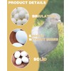TPZORJX Pack of 15 Pigeon Eggs, Fake Pigeon Eggs, Simulation