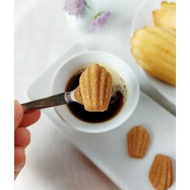 Canasuc Paris, Goûter à Paris (Tea Time In Paris) Molded 'Madeline-Shaped' Sugars in Gift Box, Individually Wrapped Natural Sugar Pieces, Made in France