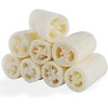 Esponja de Luffa 8 unidades de esponja natural de pepino