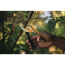 Fiskars Bypass Secateurs for Fresh Branches and Branches, Non-Stick, Steel Blades/Steel Handles, Black/Orange, Solid, P331, 1057163