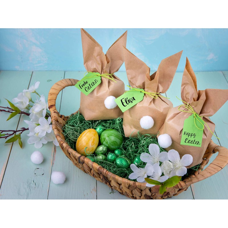 Easter Bunny Paper Gift Packaging Set for DIY Craft and