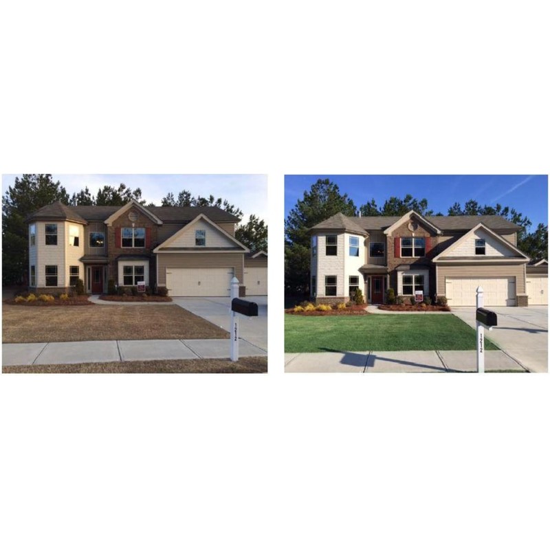 EnviroColor 4,000 Sq Feet 4Ever Green Grass and Turf Paint