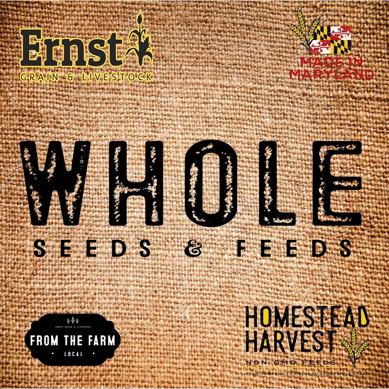 Ernst Grain & Livestock Black Oil Sunflower Seeds - Birdseed