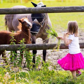 Stuurvnee 10pcs Cow and Horse Sheep Grazing Small Brass Bells,Cowbell Retro Bell Grazing Copper for Horse Sheep,Cowbell Noise Maker