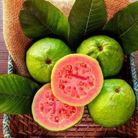 Nygardenia 50pcs Tropical Strawberry Guava Organic Pink Guava Seeds - Exotic Flavors
