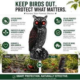 Solar Owl Bird Deterrent with Motion-Activated Sound & Flashing Eyes for Yards, Gardens, Farms & Orchards – Helps Protect Outdoor Areas