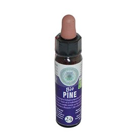 Pine No. 24 Princeps Organic Chromotherapeutic Bach Flower Drops 10 ml