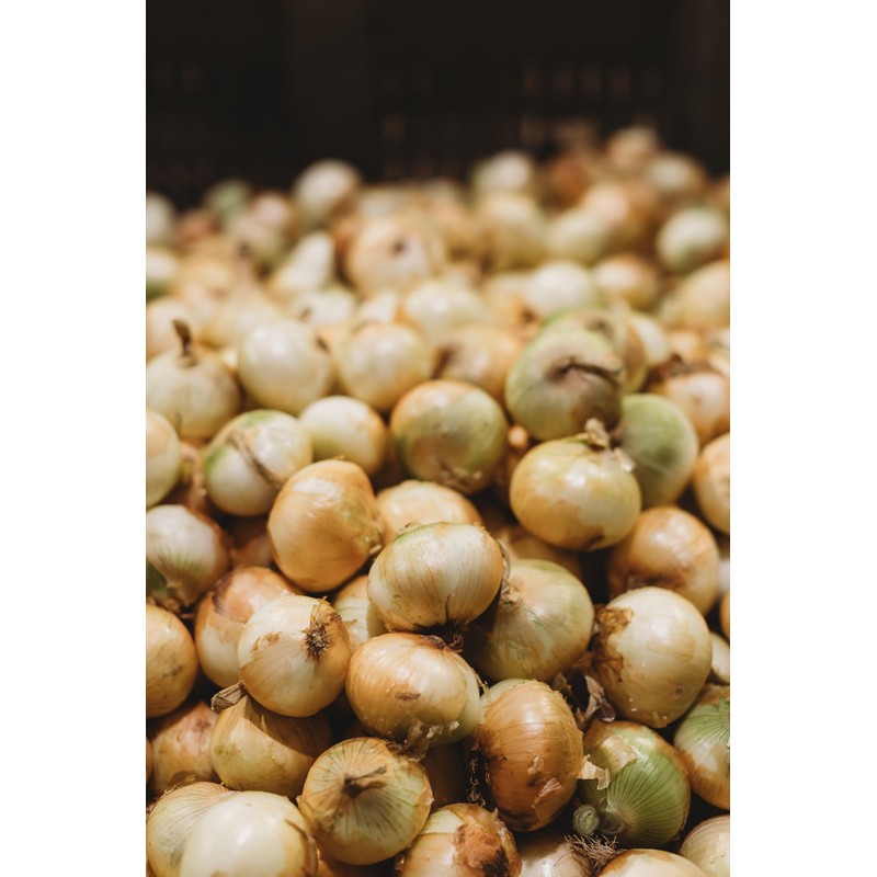 Vidalia Onion Blossom Kit – Includes Onion Cutter, Batter Mix