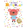 Mr. Bear's Birthday