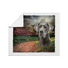 CafePress Why God Made Dogs Great Dane Throw Blanket Super