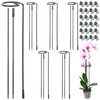 6 Pack Plant Support Stakes with 24 Fixing Clips, 12