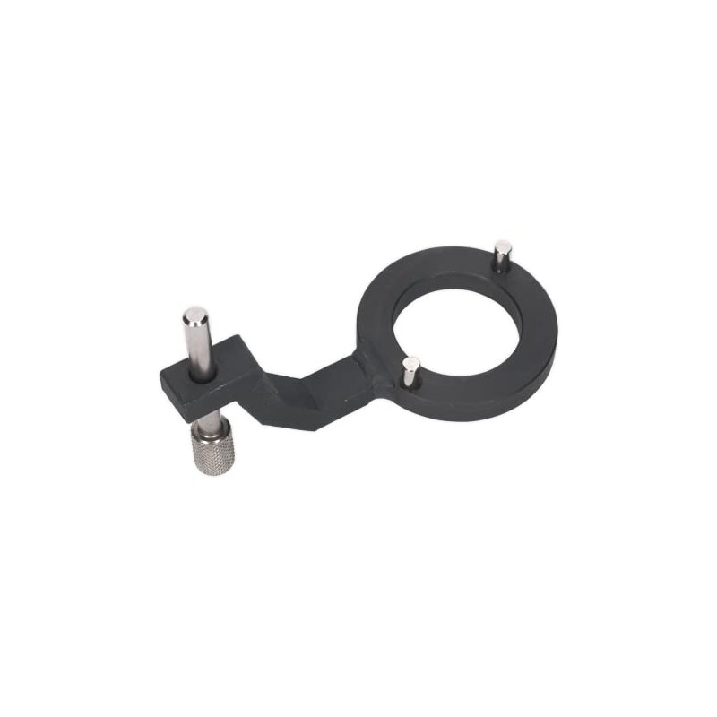 Sealey Vse5312 Fuel Pump Holding Tool - Jaguar, Land Rover