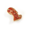 Pinsanity Head Anatomy Enamel Lapel Pin